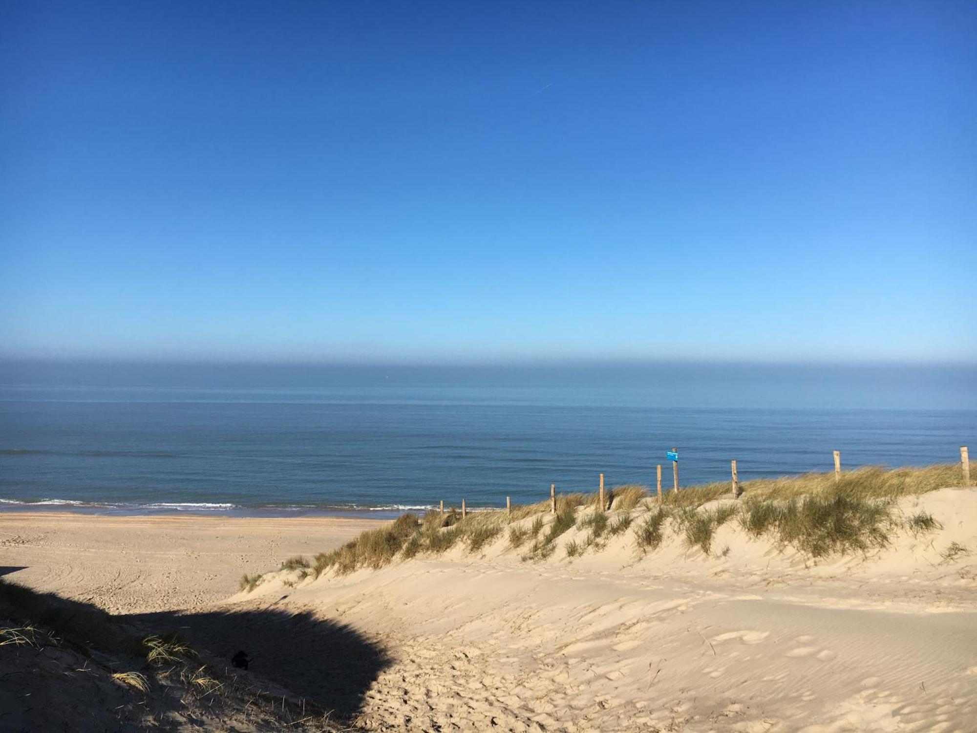 Eco Lodge Duin- Unieke Locatie -Strand, Duin En Nabij Cultuursteden Кастрикюм Экстерьер фото