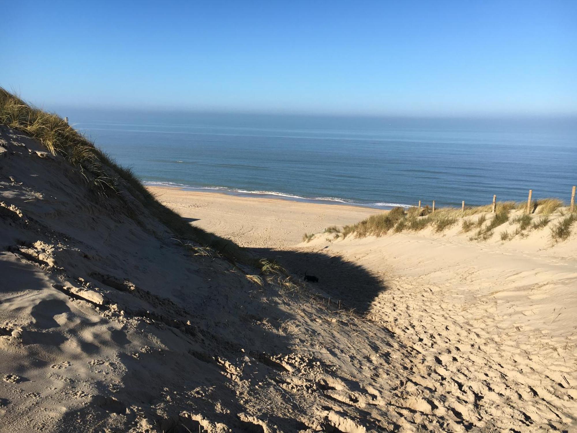 Eco Lodge Duin- Unieke Locatie -Strand, Duin En Nabij Cultuursteden Кастрикюм Экстерьер фото