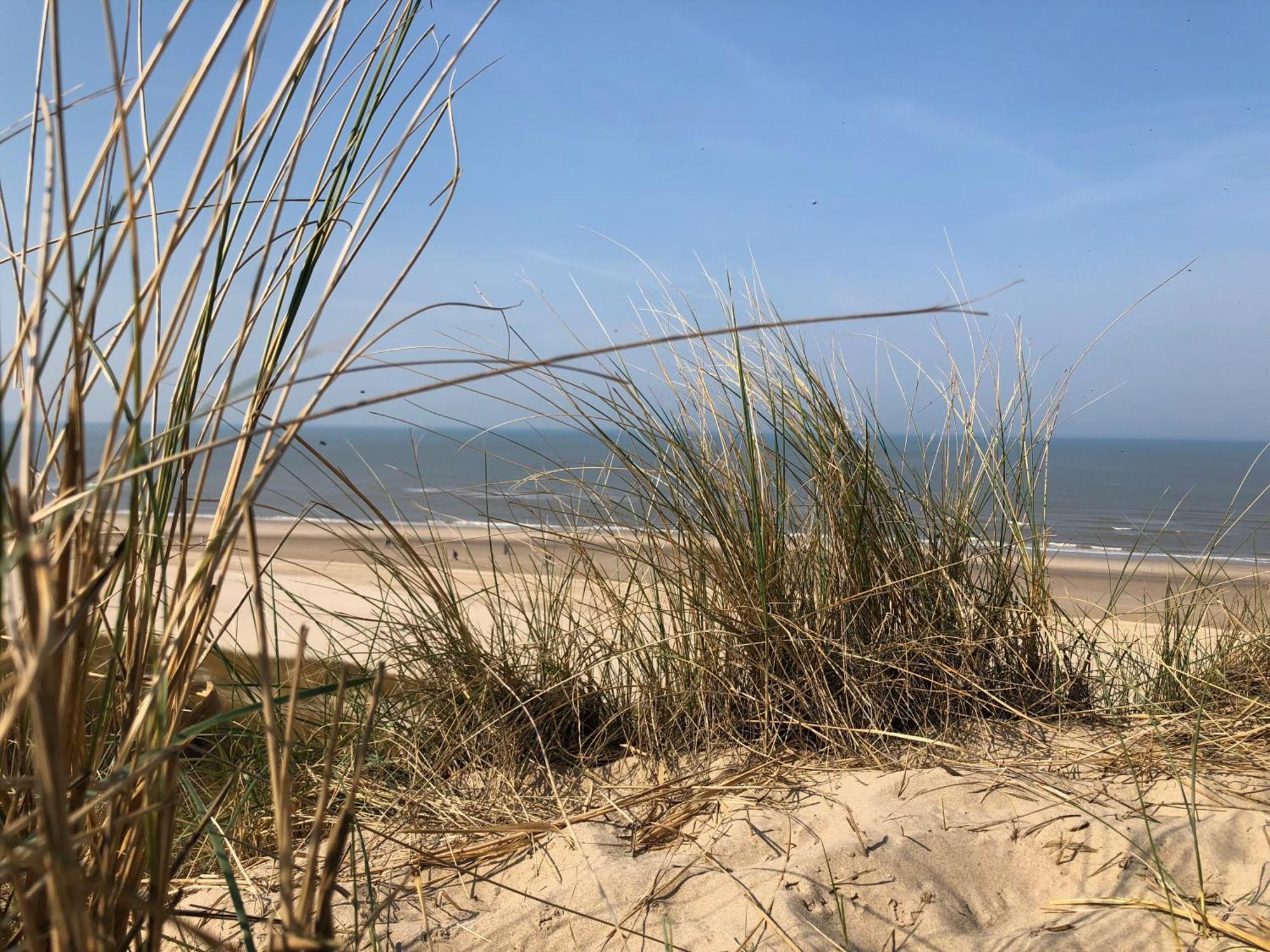 Eco Lodge Duin- Unieke Locatie -Strand, Duin En Nabij Cultuursteden Кастрикюм Экстерьер фото